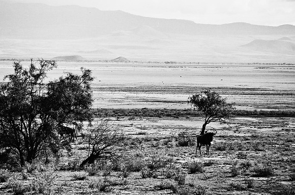 B3_82009_BW_194_New_Masai_Africa_89_14