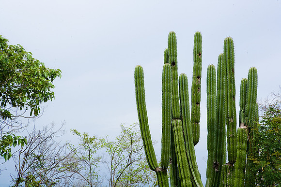 36196_DG_Color_North_America_Ixtapa_MexicoZV4N4802