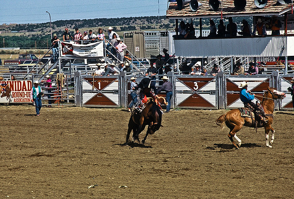 47494_B6_SL_COLOR_TRINIDAD_RODEO_CO_97_19.jpg
