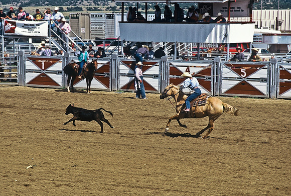47488_B6_SL_COLOR_TRINIDAD_RODEO_CO_97_04.jpg