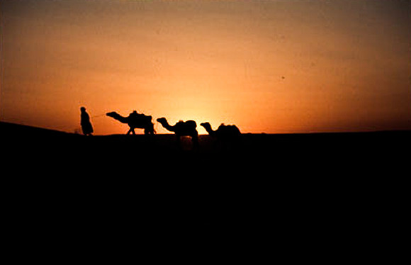 3207_SL_COLOR_MERZOUGA_SHAHARA_MAROCCO_II_1998_5