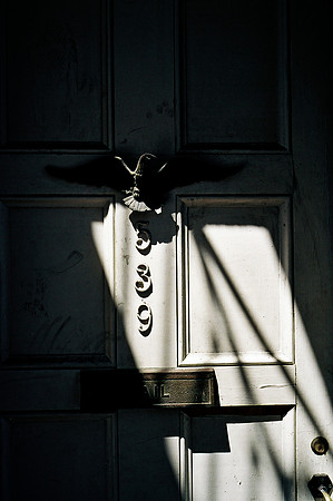 3600_COLOR_NEW_ORLEANS_LOUISIANA_03_4.jpg