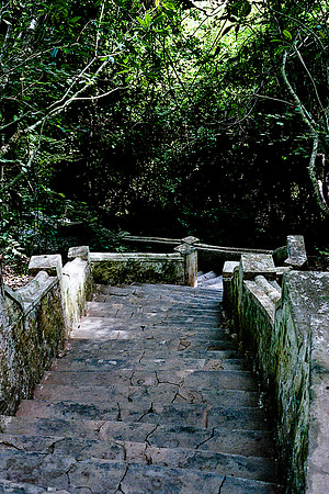 FILM