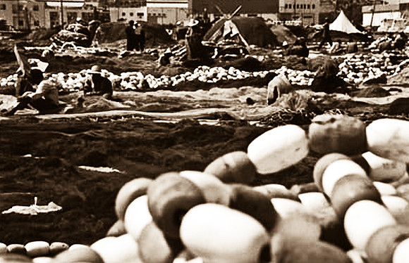 3238_SL_COLOR_TAROUDANNT_MAROCCO_II_1998_7