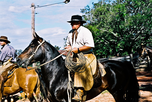2624_FM_COLOR_35MM_PORTO_ALEGRE_BRAZIL_2004_23