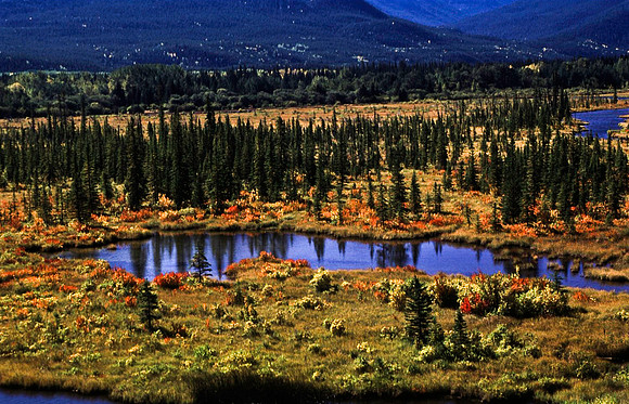 06838_B19_SL_COLOR_LAKE_LOUISE_TO_BANFF_BC_WS_97_12.jpg