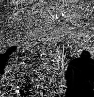 7587_fm_bw_xpand_MANDACINO_CA_01_4.jpg