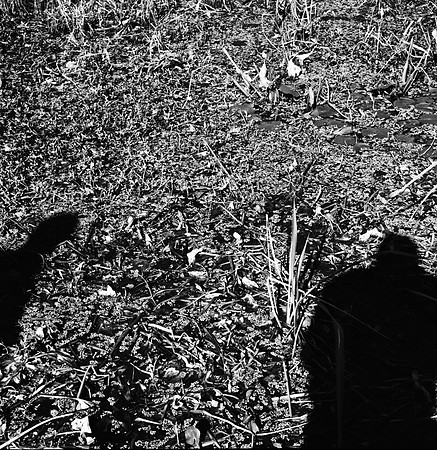 7587_fm_bw_xpand_MANDACINO_CA_01_4.jpg