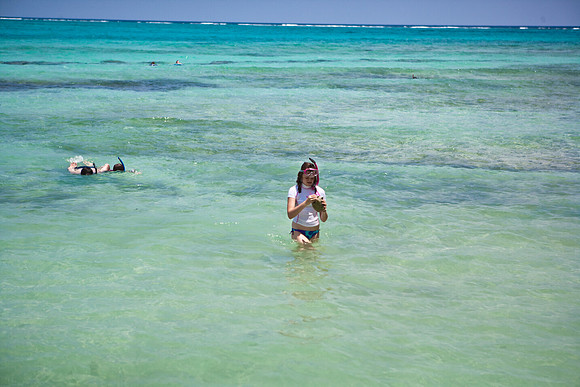 3876_DG_Cayman_Island_Caribbean_ZV4N0521
