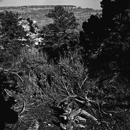 6135_FM_COLOR_SQ_SEDONA_AZ_05_1.jpg