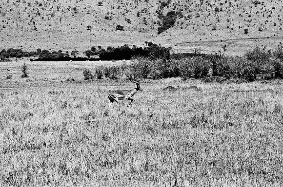 B3_82002_BW_194_New_Masai-Ballon_Africa_89_10