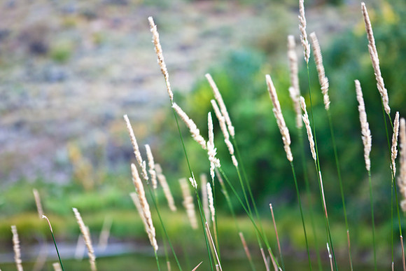 0019_Aspen_To_Jackson_Hole_Wyoming_5L8Y7118