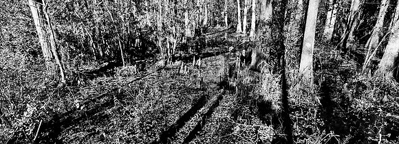 7749_FL_BW_LOUISIANA_01_6.jpg