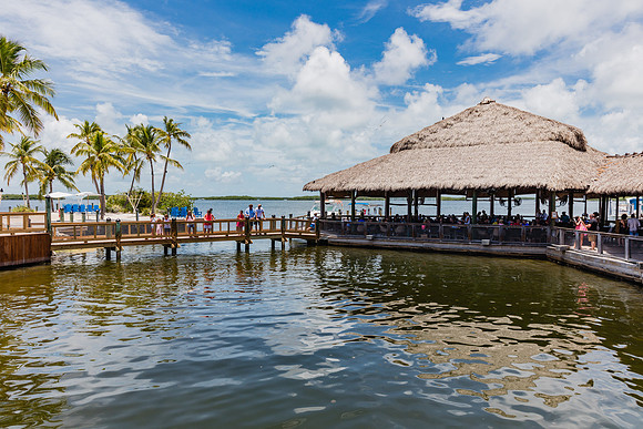 20160711_Key_West_075A0114