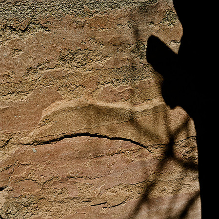6124_COLOR_SQ_Grand_Cayon_National_Park_ARIZONA_USA_05_4.jpg