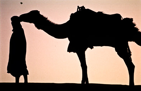 3204_SL_COLOR_MERZOUGA_SHAHARA_MAROCCO_II_1998_6