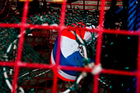 06581_ZV4N_0960_DG_COLOR_BASS_HARBOR_MAINE_ME_USA_2007_details_fishing