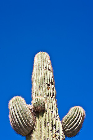 0031_La_Arizona_5L8Y5447