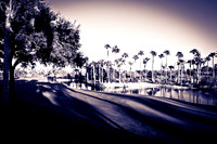 0031_La_Arizona_5L8Y5081-2