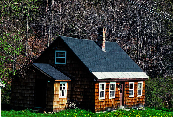 64039_B1_SL_COLOR_UP STATE_NY_86_06.jpg