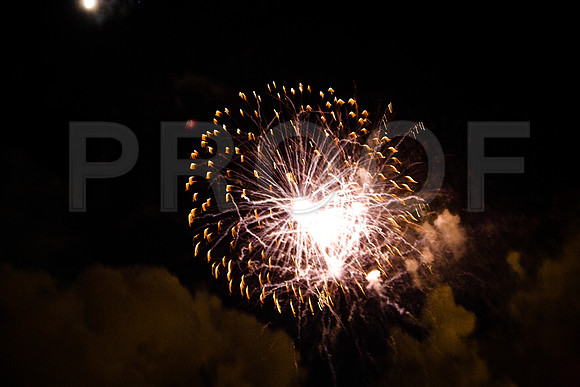 85526_ZV4N1710_Miami_FL_USA