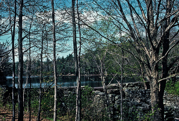 64036_B1_SL_COLOR_UP STATE_NY_86_18.jpg