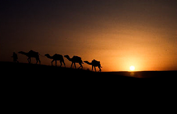 3203_SL_COLOR_MERZOUGA_SHAHARA_MAROCCO_II_1998_11