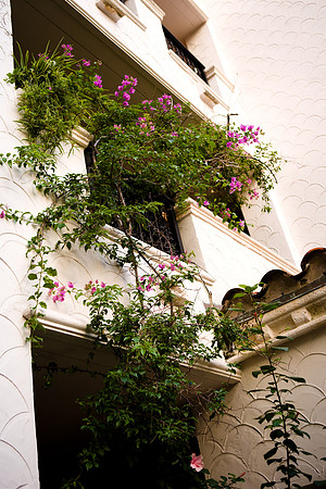 36145_DG_Color_USA_Fisher_Island_FL_Related_GroupZV4N4783