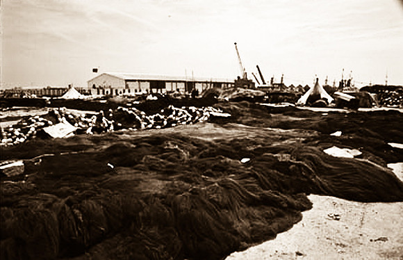 3236_SL_COLOR_TAROUDANNT_MAROCCO_II_1998_4