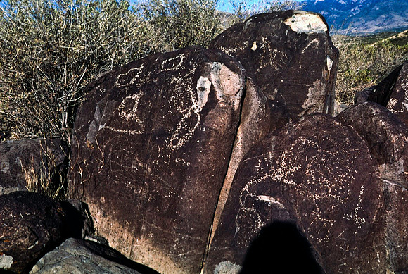 47899_B16_SL_COLOR_TREE_RIVER_PETROGLYTH_NAT_RES_NAT_MNT_HWY LOOP20_NM_97_2020.jpg