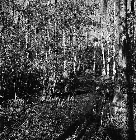 7747_FL_BW_LOUISIANA_01_1.jpg