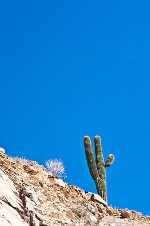0031_La_Arizona_5L8Y5479