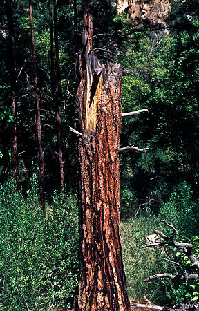 37876_B15_SL_COLOR_TAOS_TO_EMBUDA_TO_BANDELIER_NM_97_19.jpg