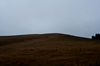 06588_ZV4N_3696_DG_COLOR_BODEGA_BAY_CALIFORNIA_Hitchcock_The_Birds_CALIFORNIA_CA_USA_2007
