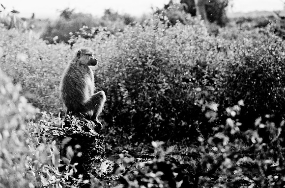 B3_82009_BW_194_New_Masai_Africa_89_15