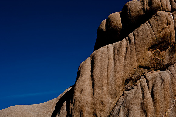 06646_DG_COLOR_JOSHUA_TREE_NAT_PARK_29_PALMS_CALIFORNIA_CA_USA_2007_ZV4N_471