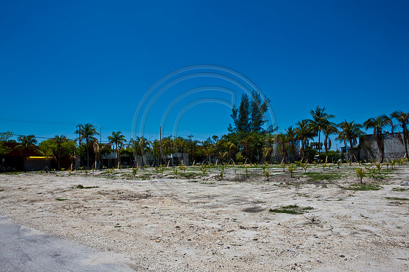 2901_DG_Design_Distric_Miami_FL20090421-5L8Y6175