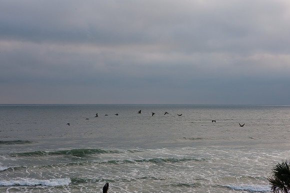 0040_PANAMA_BEACH_TO_DAYTONA_MIAMI_5L8Y1519
