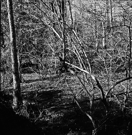 7747_FL_BW_LOUISIANA_01_8.jpg