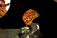 0258_FM_COLOR_MINESOTA_99_13.jpg