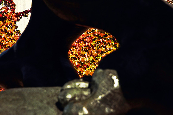 0258_FM_COLOR_MINESOTA_99_13.jpg