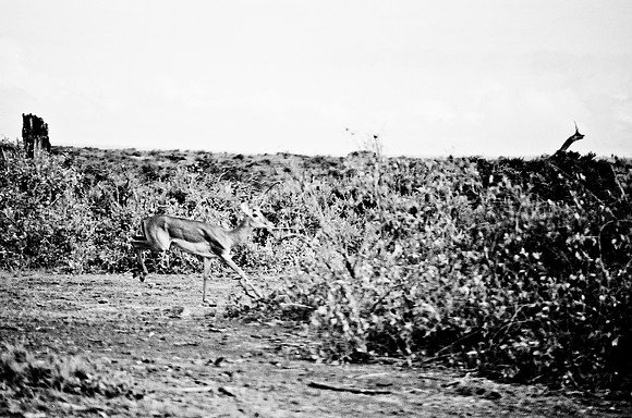 B3_82009_BW_194_New_Masai_Africa_89_18