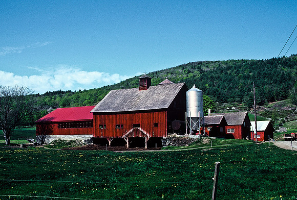 64036_B1_SL_COLOR_UP STATE_NY_86_11.jpg