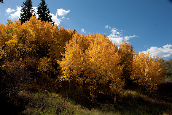 20080829_DVD15_DG_USA_Aspen_2072_full_blead