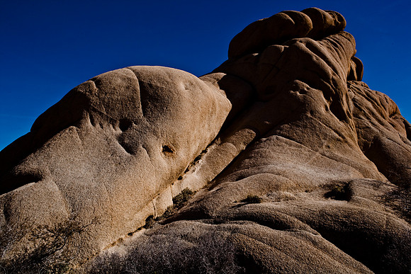 06646_DG_COLOR_JOSHUA_TREE_NAT_PARK_29_PALMS_CALIFORNIA_CA_USA_2007_ZV4N_461
