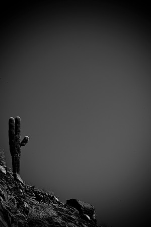 0031_La_Arizona_5L8Y5477