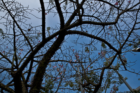 06634_DG_CALIFORNIA_USA_2007_ZV4N_9984