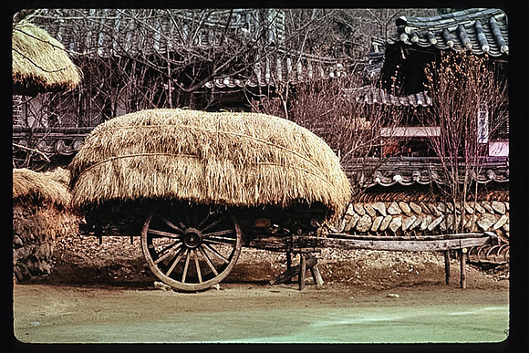 1988_Korea_193