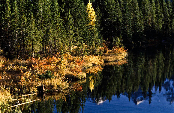 06836_B19_SL_COLOR_ATHABASCA_FALLS_ONE_OF_JASPER_NAT_PARK_BC_WS_97_13.jpg