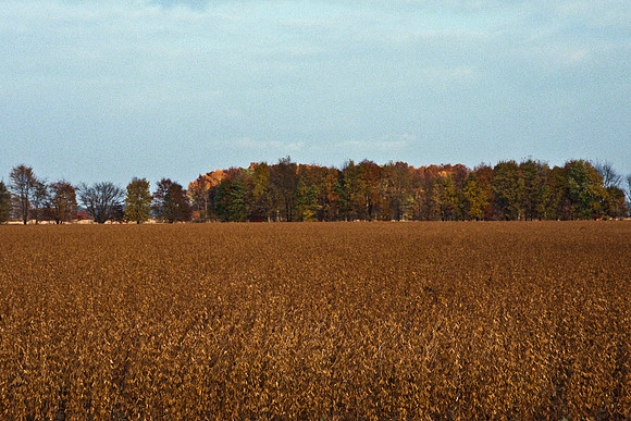0258_FM_COLOR_MINESOTA_99_59.jpg